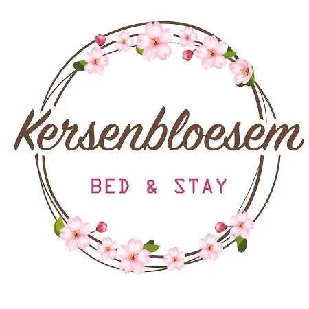 Bed & Stay Kersenbloesem Nijswiller Exterior photo