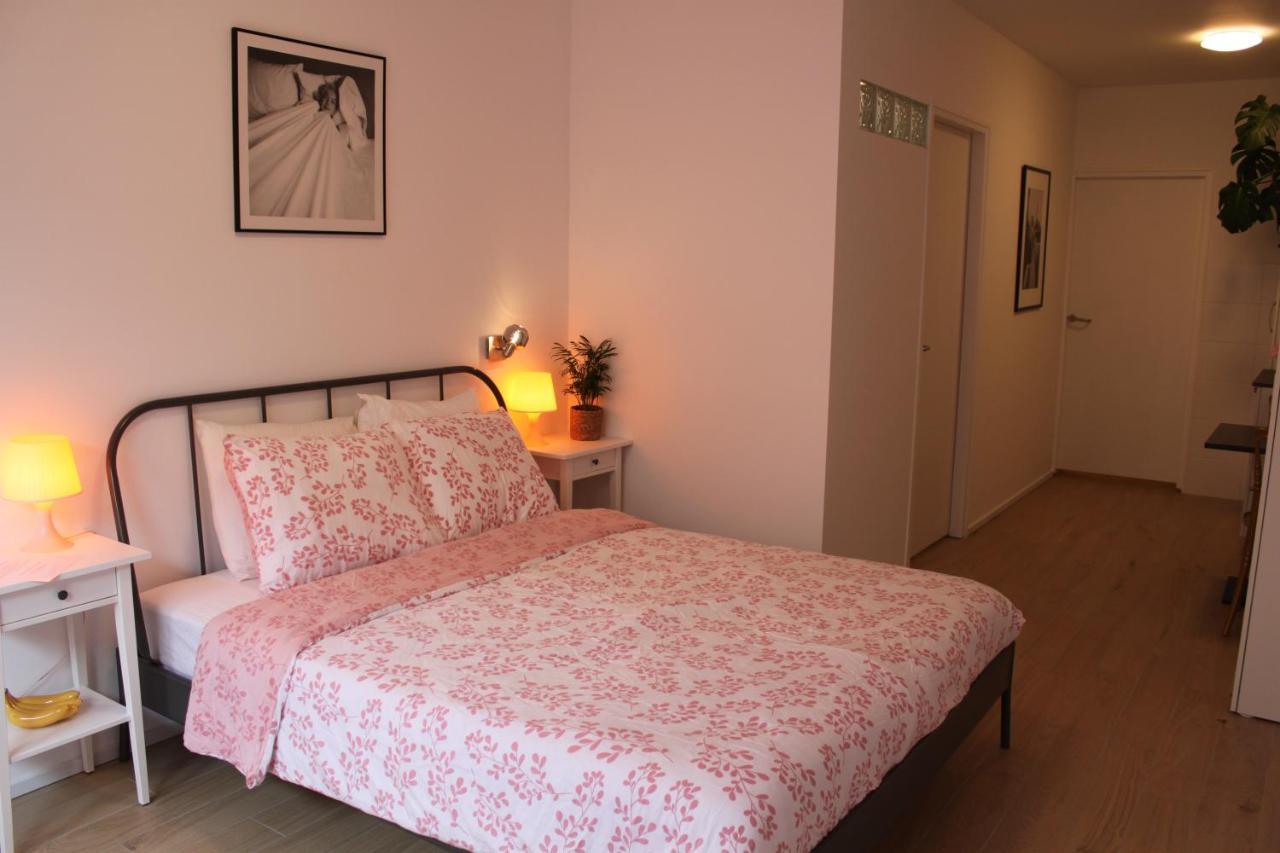 Bed & Kersenbloesem Apartment Nijswiller