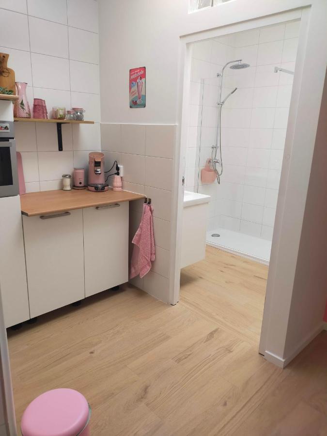Bed & Kersenbloesem Apartment Nijswiller